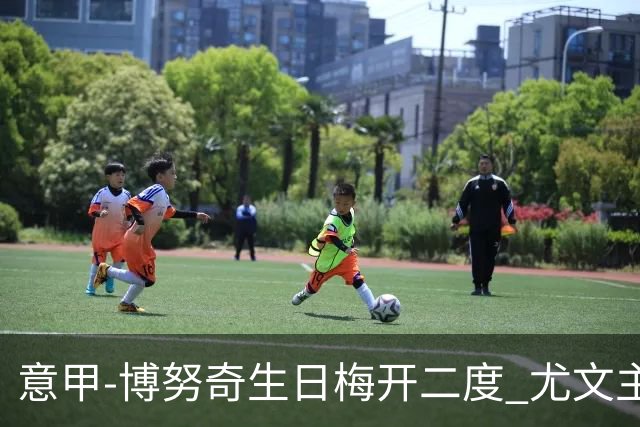 意甲-博努奇生日梅开二度 尤文主场2-1险胜垫底队